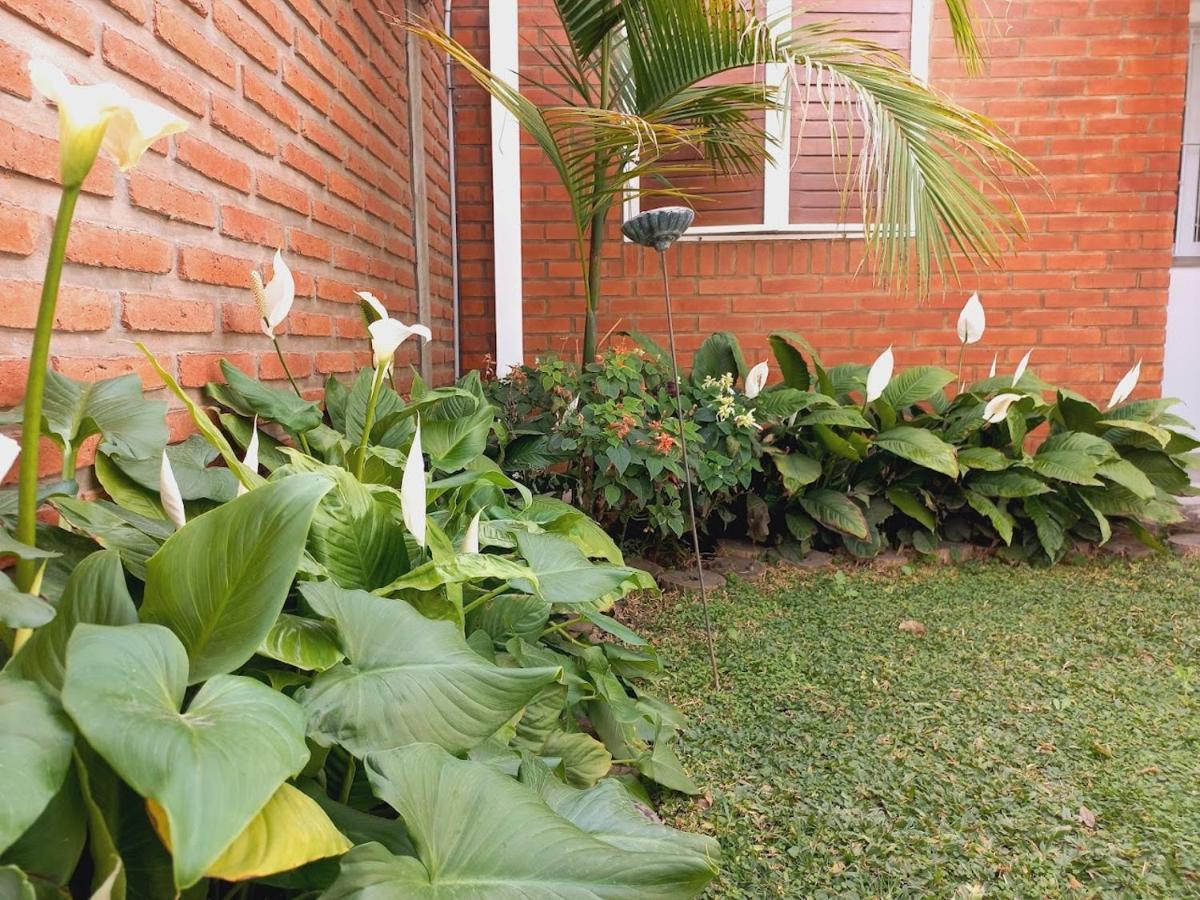 Ferienwohnung Aeropuerto A 5' Y Ruta Del Vino A 100 Mts Salta Exterior foto